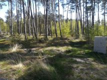 Działka budowlana Dziwnów, ul. Daglezji. Zdjęcie 3