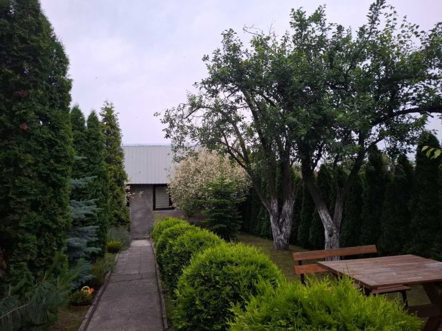 Działka rod Gliwice Trynek, ul. Rybnicka. Zdjęcie 1