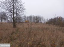 Działka inwestycyjna Spytkowo. Zdjęcie 3