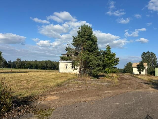 Działka inwestycyjna Przytuły-Las. Zdjęcie 4