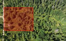 Działka leśna Szczyrk Biały Krzyż, ul. Grabowa. Zdjęcie 2