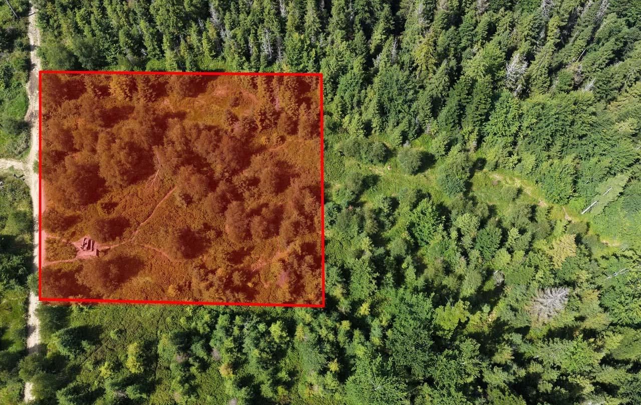 Działka leśna Szczyrk Biały Krzyż, ul. Grabowa. Zdjęcie 3