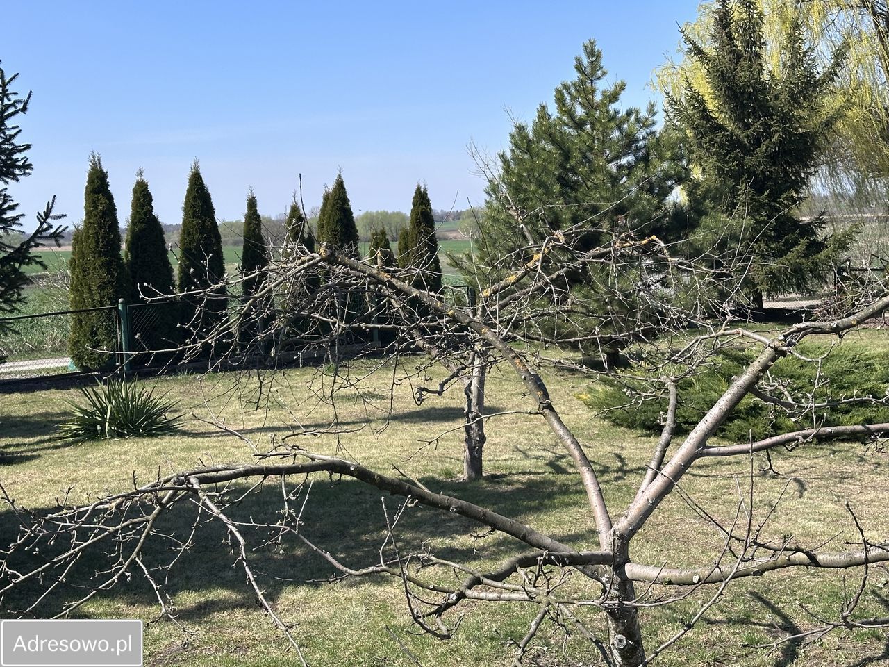 bliźniak, 6 pokoi Smoligów. Zdjęcie 6