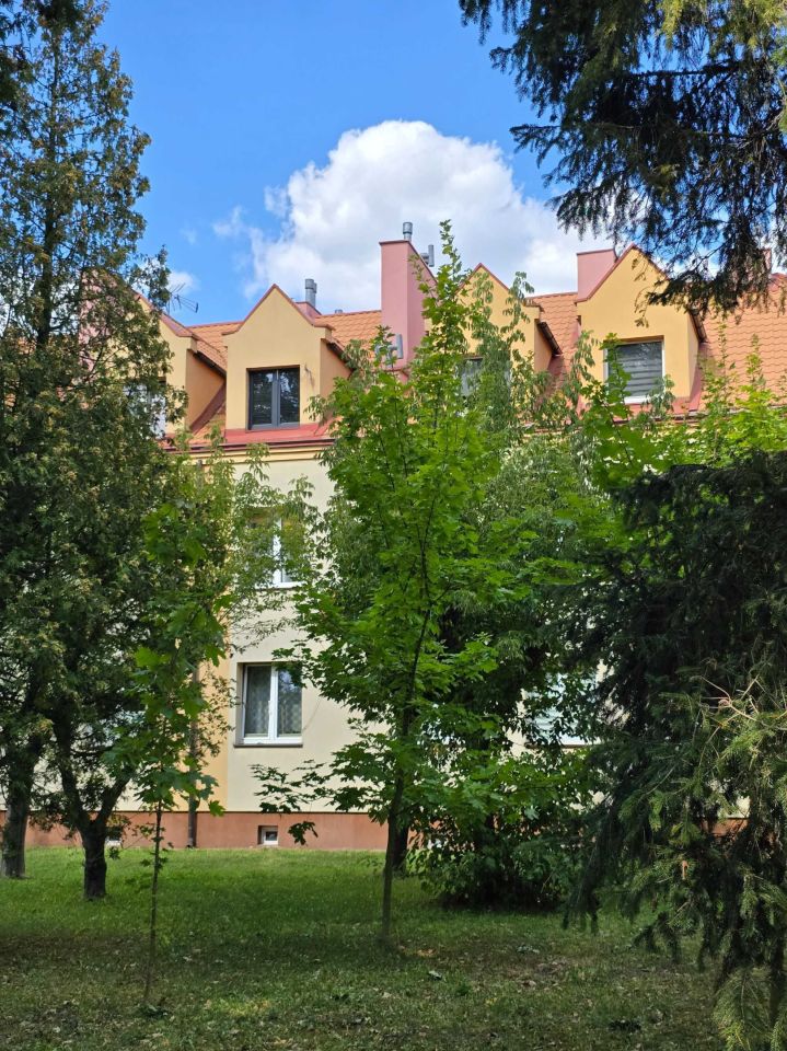 Mieszkanie 1-pokojowe Szydłowiec. Zdjęcie 8