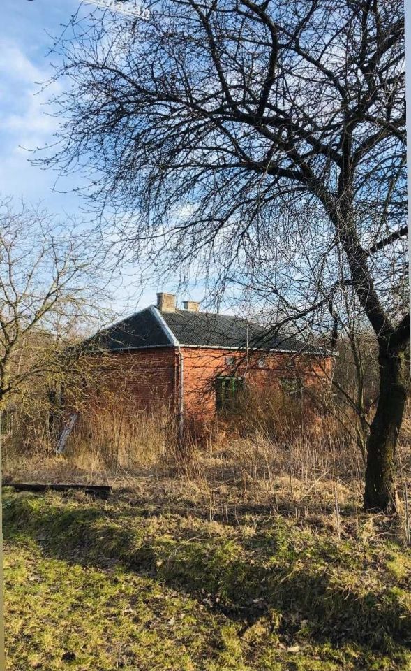 siedlisko Witoszyn. Zdjęcie 4