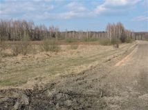 Działka rolno-budowlana Wiejca. Zdjęcie 4