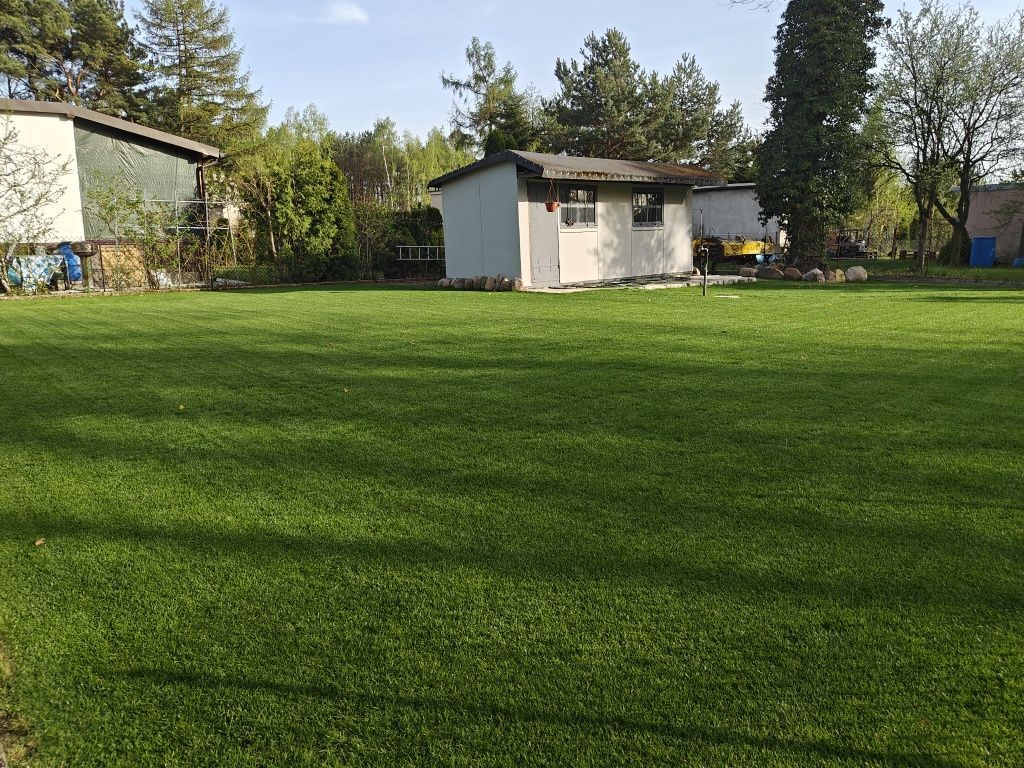 Działka rekreacyjna Łódź Bałuty, ul. Sianokosy