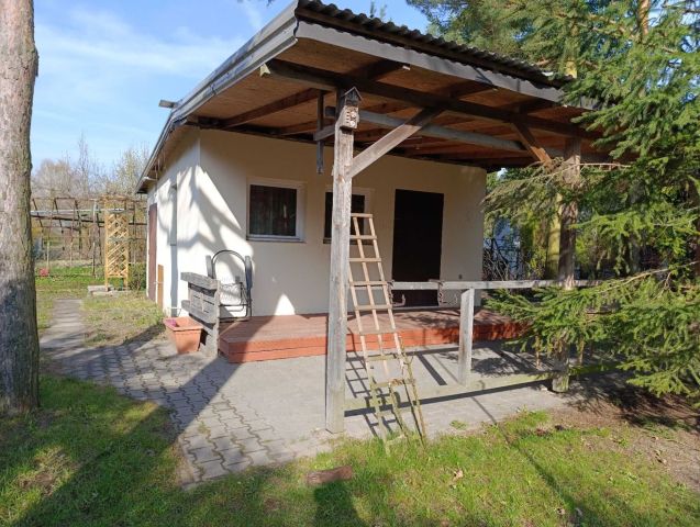 Działka rod Łódź Radogoszcz, ul. Krecia. Zdjęcie 1