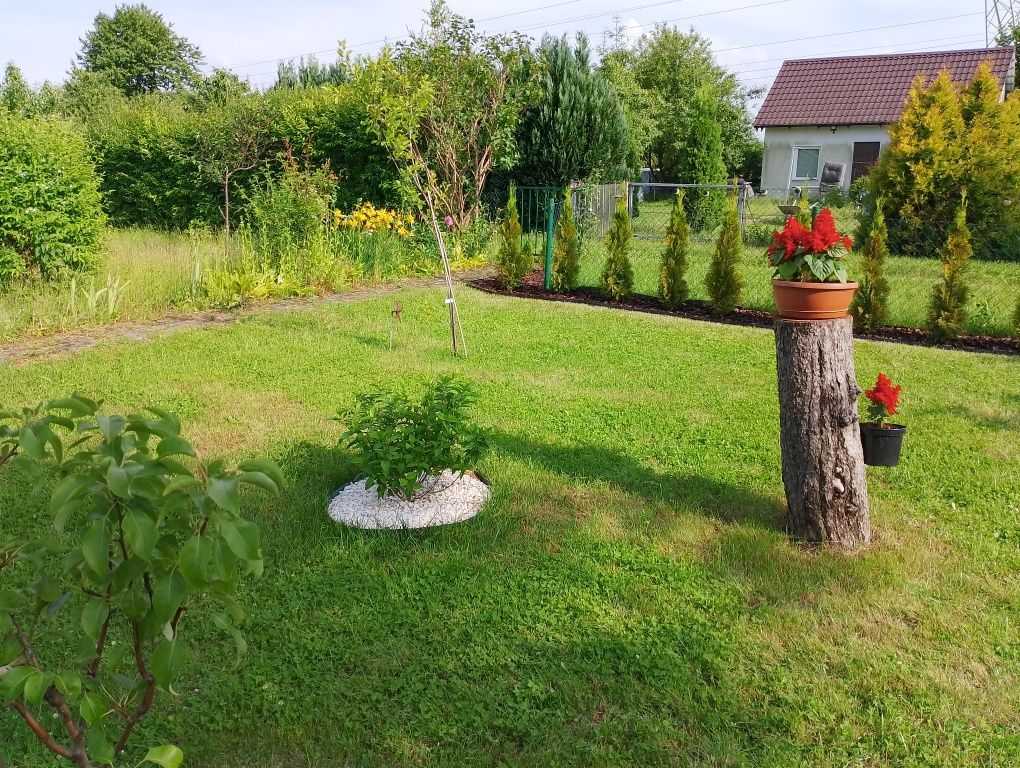 Działka rod Koszalin Kretomino, ul. Słowiańska. Zdjęcie 1