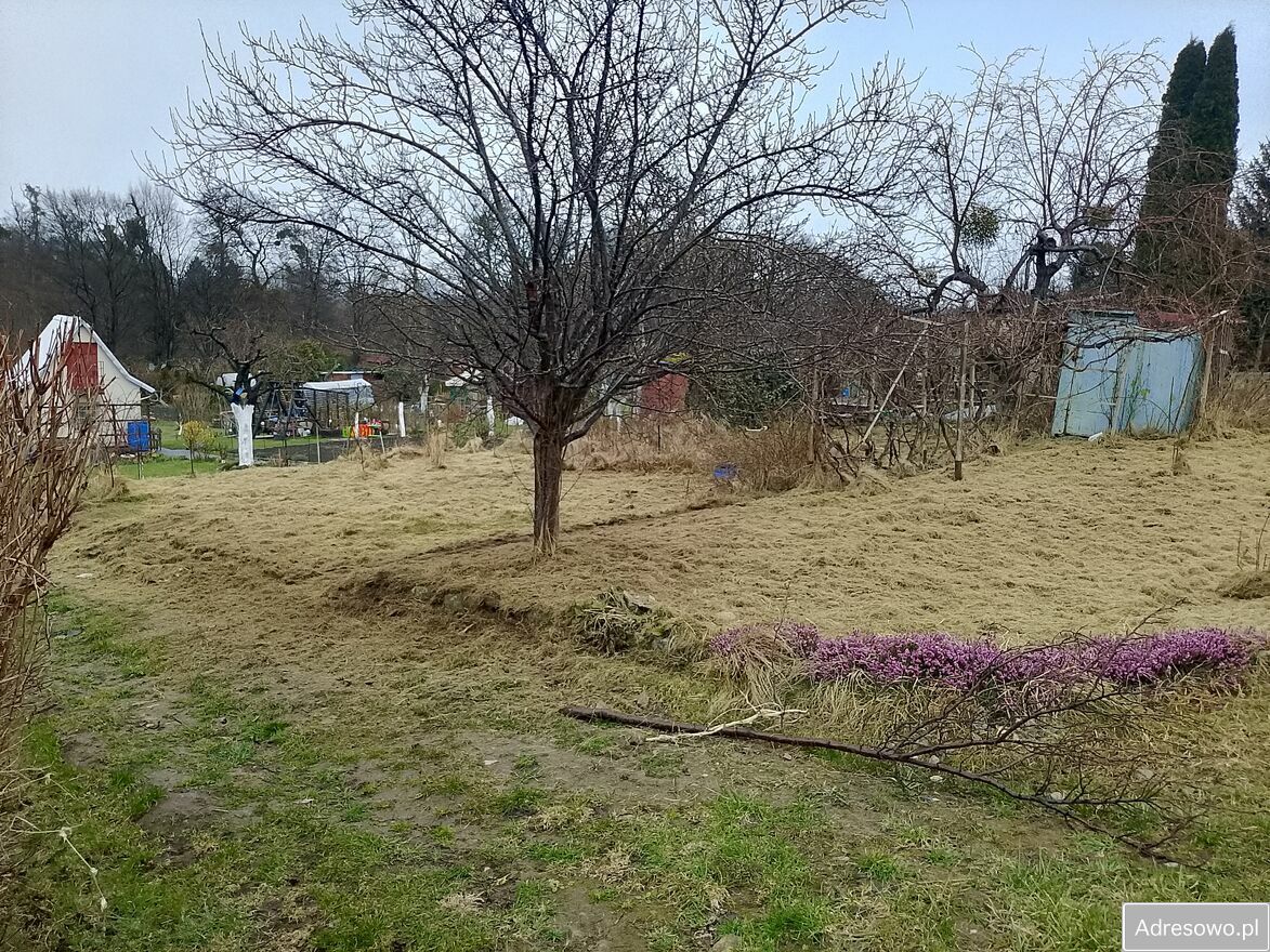 Działka rod Elbląg, ul. 13 Elbląskiego Pułku Przeciwlotniczego. Zdjęcie 2