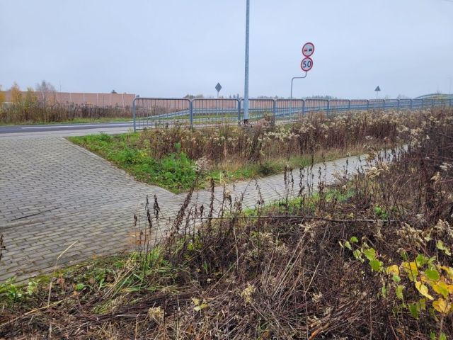 Działka rolno-budowlana Cisie. Zdjęcie 1