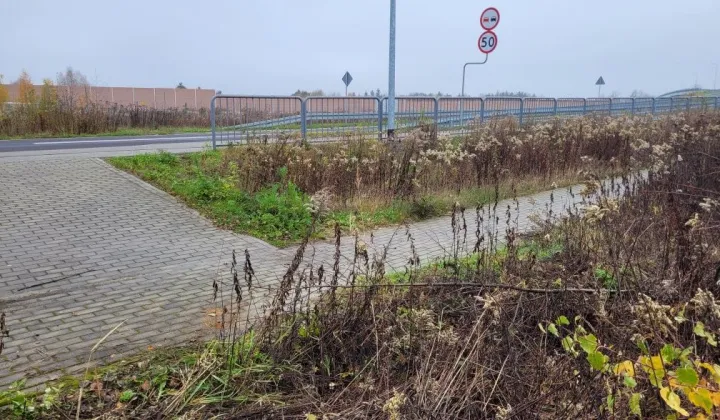 Działka rolno-budowlana Cisie