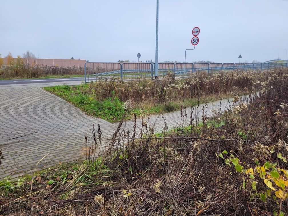 Działka rolno-budowlana Cisie. Zdjęcie 1