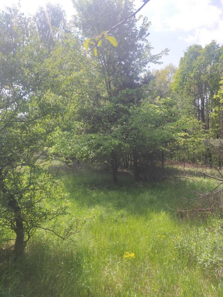 Działka budowlana Regut