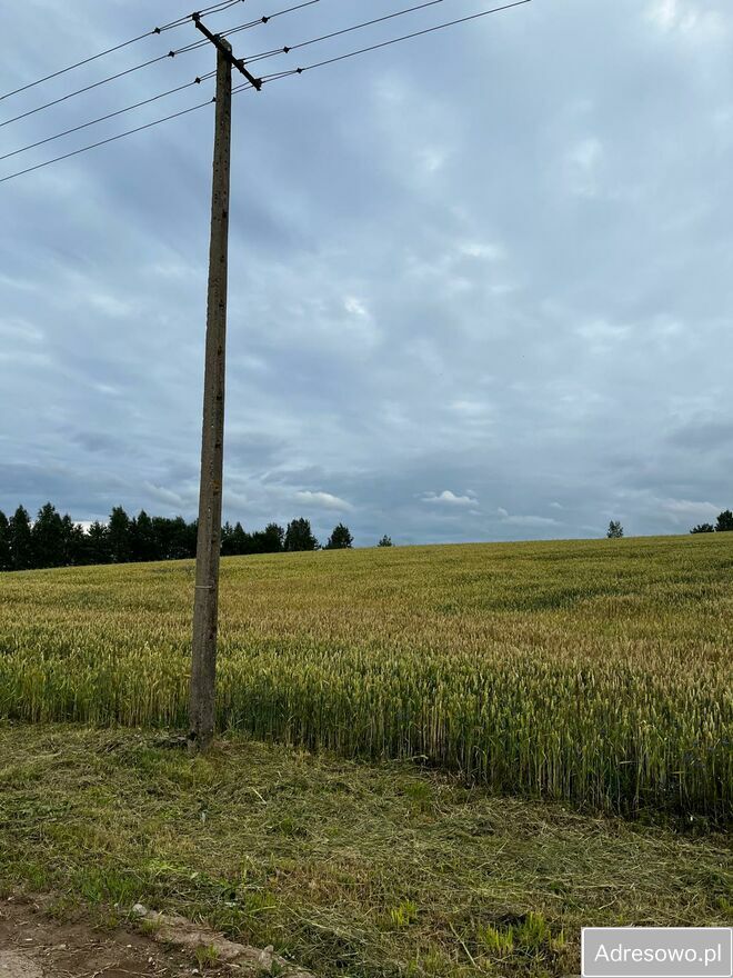 Działka rolna Wilkiejmy. Zdjęcie 3