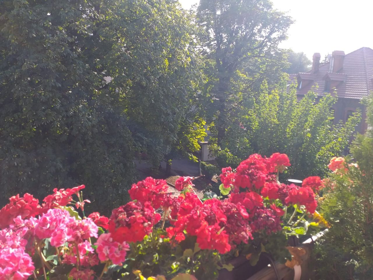 Mieszkanie 3-pokojowe Mikołów Centrum, ul. Górnicza. Zdjęcie 6