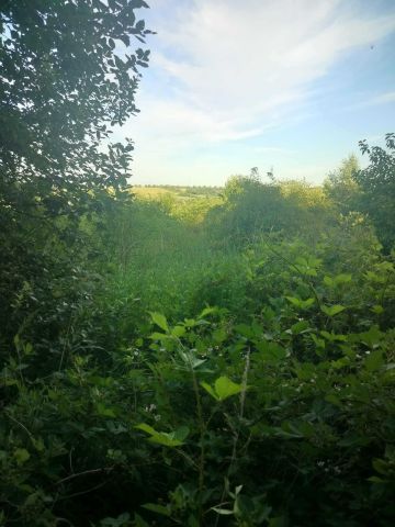 Działka rolna Cieklin. Zdjęcie 1