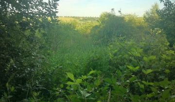 Działka rolna Cieklin