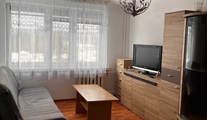 Mieszkanie 1-pokojowe Czadrów