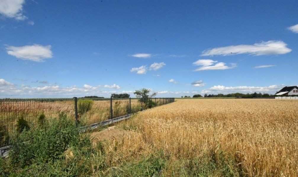 Działka budowlana Czarnolas. Zdjęcie 2