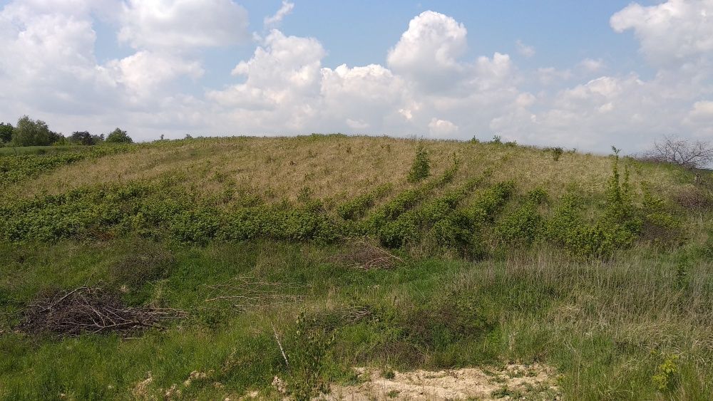 dom wolnostojący Nieledew. Zdjęcie 7