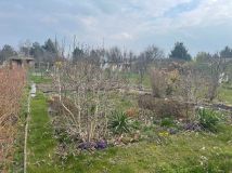 Działka rod Grzybiany. Zdjęcie 3