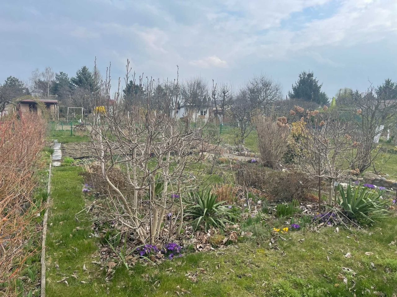 Działka rod Grzybiany. Zdjęcie 4