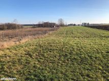 Działka rolno-budowlana Turówka Nowa. Zdjęcie 2