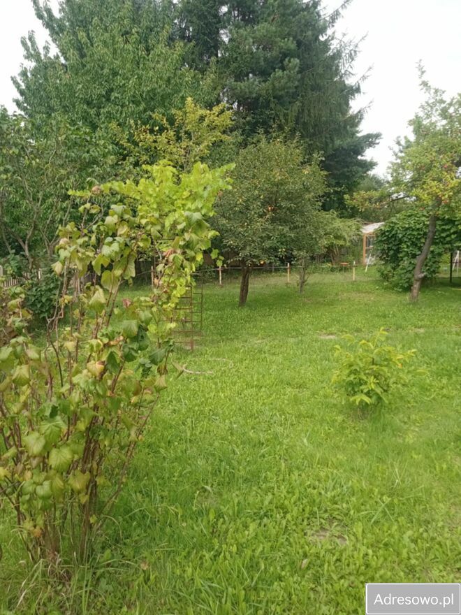 Działka rod Rzeszów, ul. Powstańców Listopadowych. Zdjęcie 4