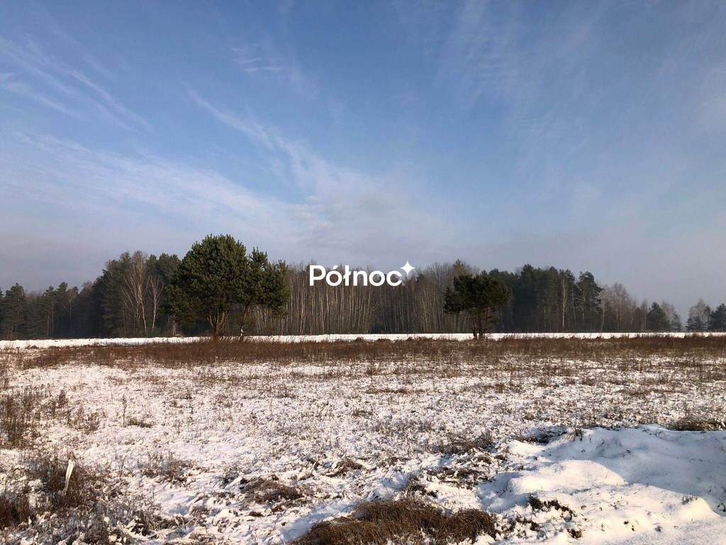 Działka budowlana Kuriany. Zdjęcie 7