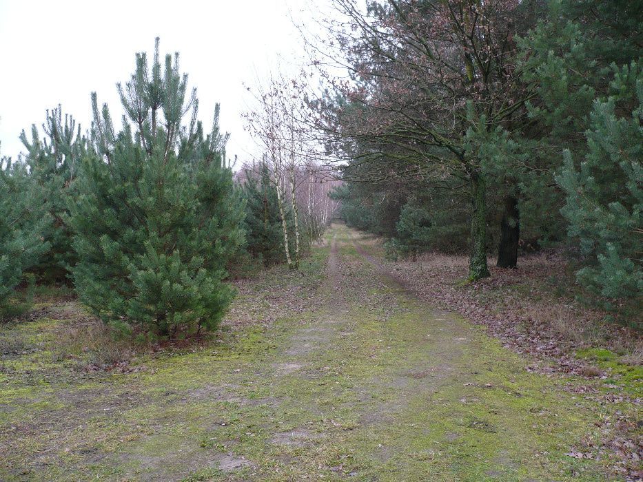 Działka rekreacyjna Łask. Zdjęcie 8