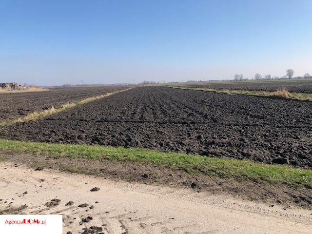 Działka budowlana Radzików. Zdjęcie 2