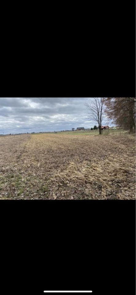 Działka budowlana Kierz. Zdjęcie 7