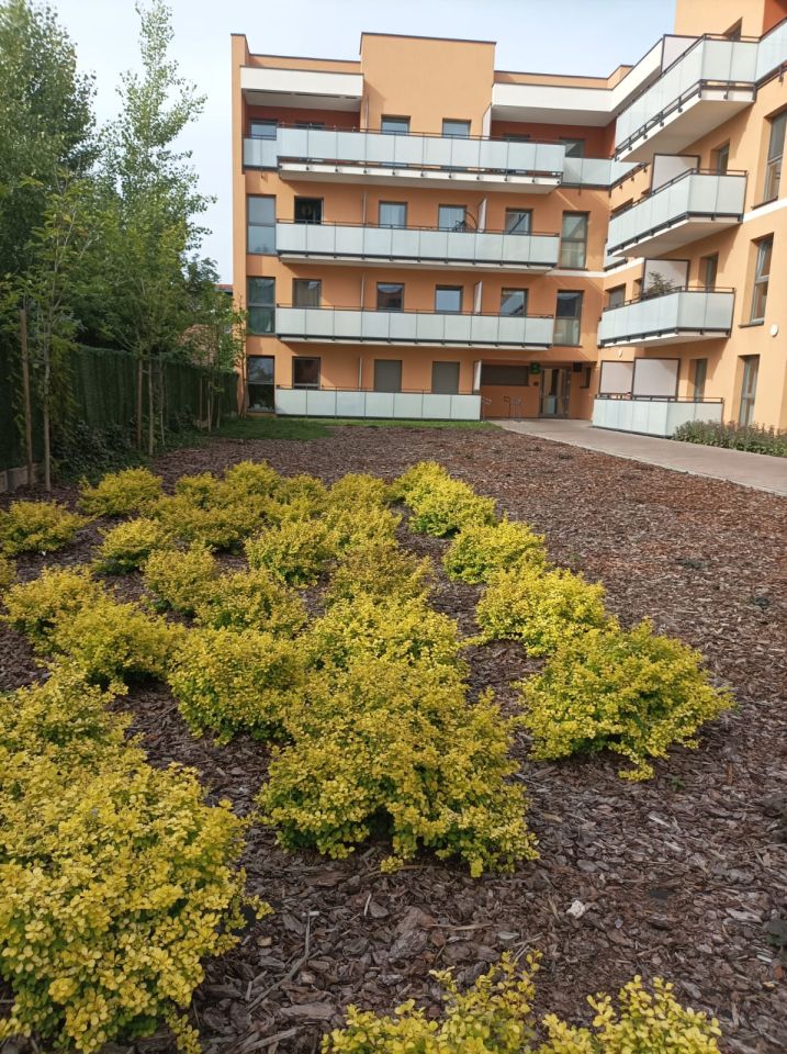 Mieszkanie 2-pokojowe Bydgoszcz Okole, ul. Garbary. Zdjęcie 3