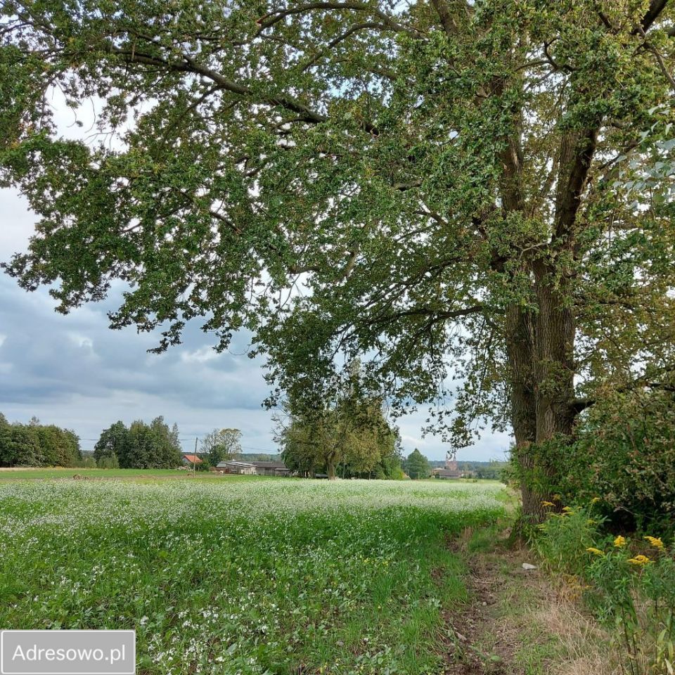 Działka siedliskowa Budy Dłutowskie. Zdjęcie 9