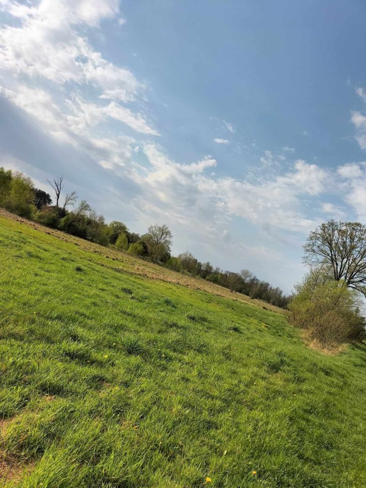 Działka rekreacyjna Orłowo. Zdjęcie 5