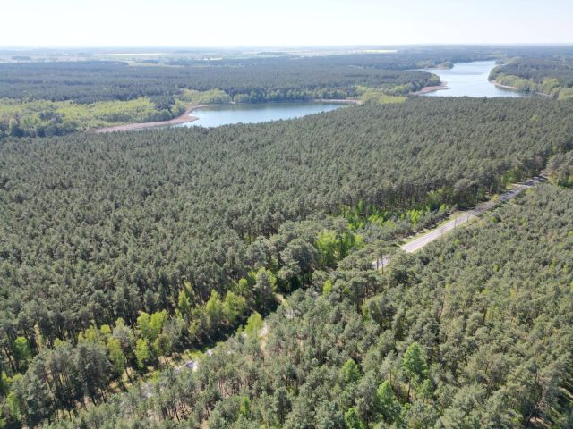 Działka budowlana Stęszewko, ul. Wiejska. Zdjęcie 11
