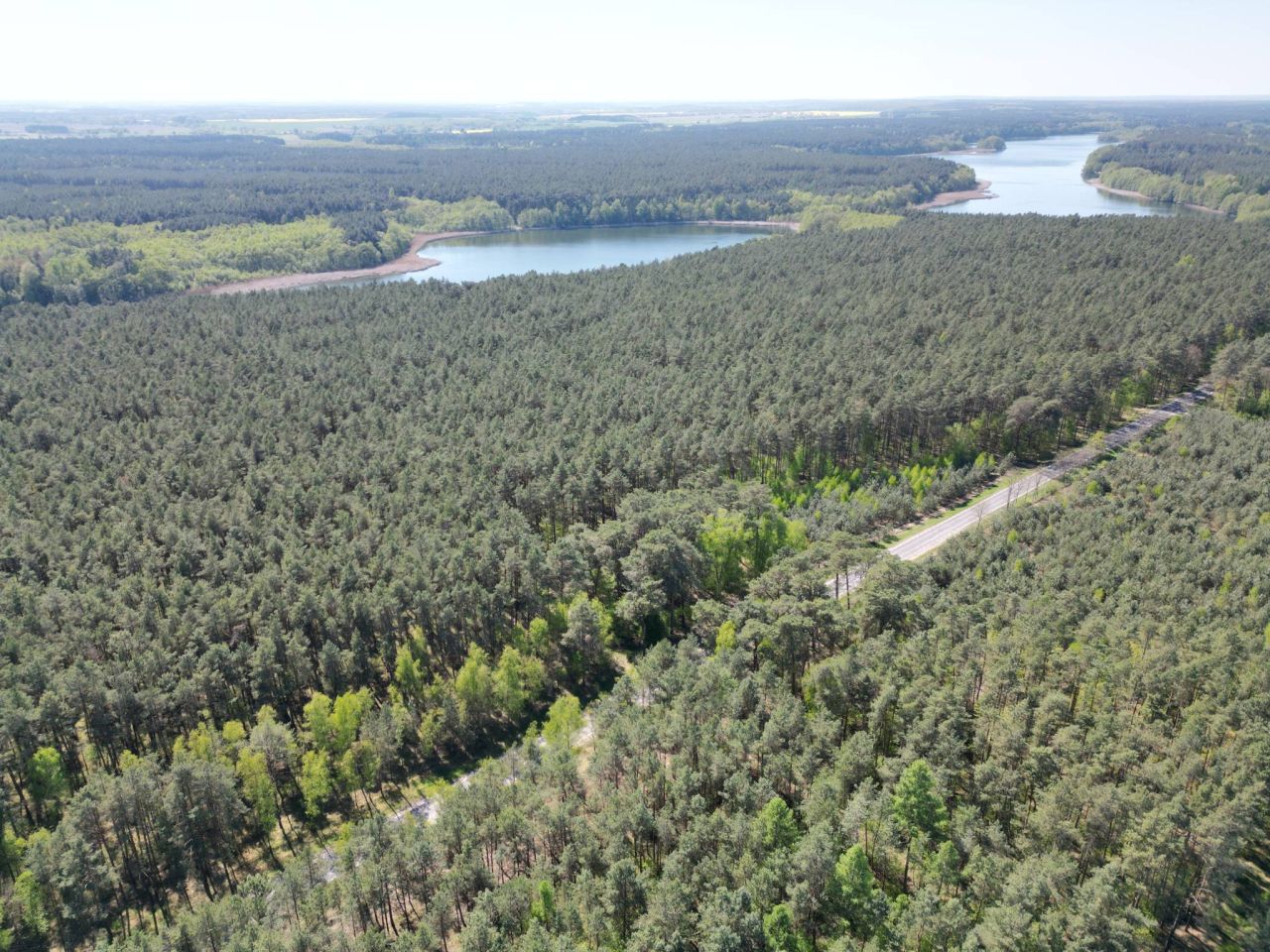Działka budowlana Stęszewko, ul. Wiejska. Zdjęcie 11