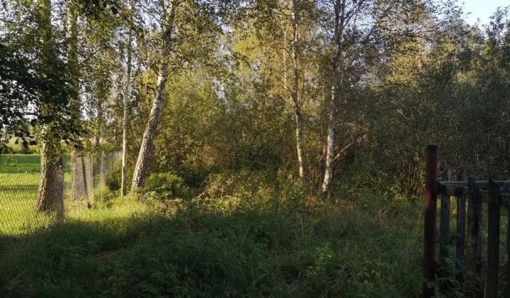 Działka rekreacyjna Szczechy Małe