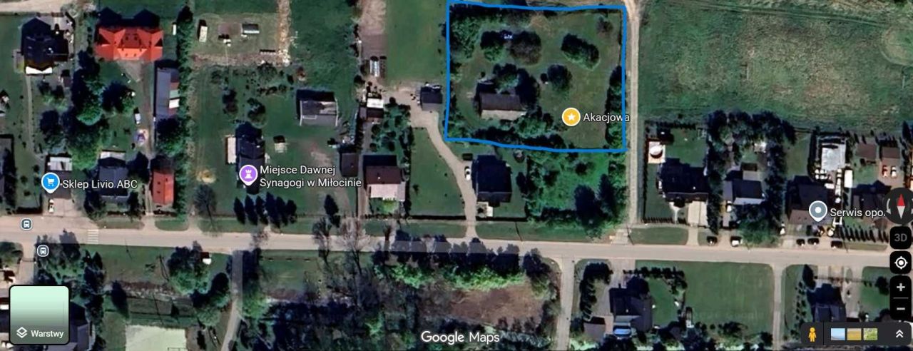 Działka siedliskowa Miłocin. Zdjęcie 3