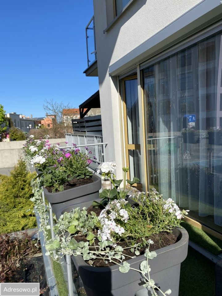 Mieszkanie 4-pokojowe Zielona Góra Centrum, ul. Stanisława Moniuszki. Zdjęcie 19