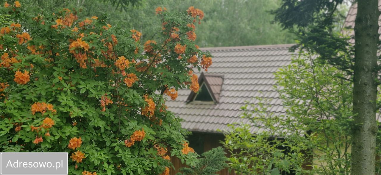 dom wolnostojący, 3 pokoje Zawada. Zdjęcie 2