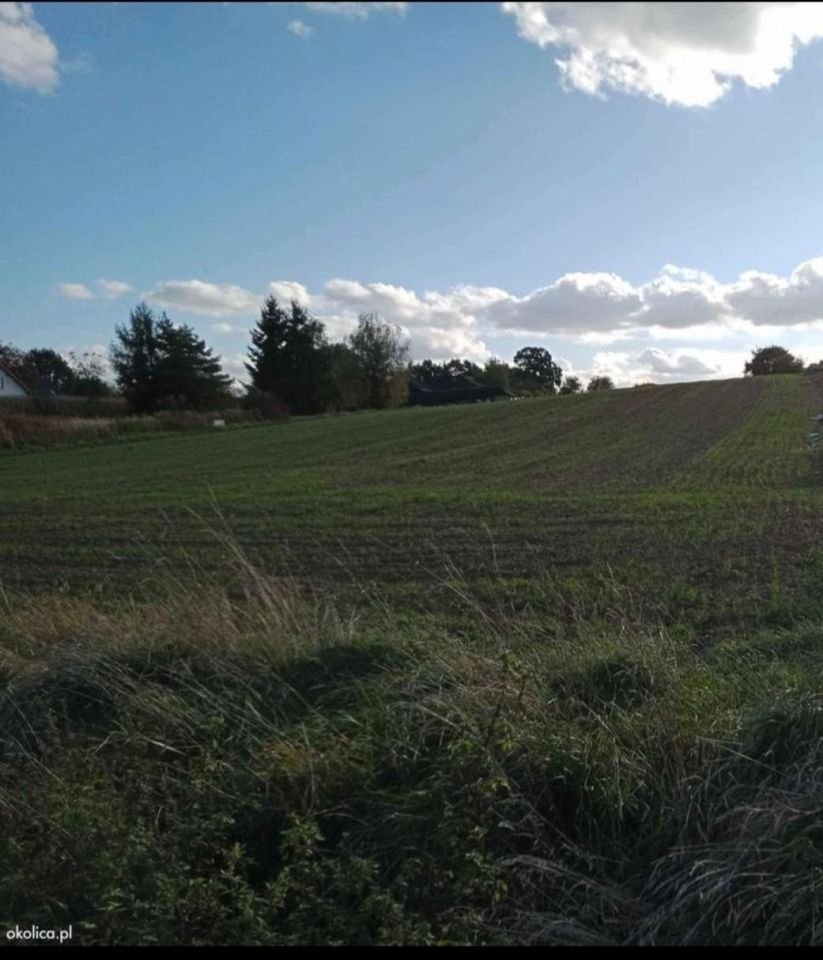 Działka inwestycyjna Dębówka. Zdjęcie 6