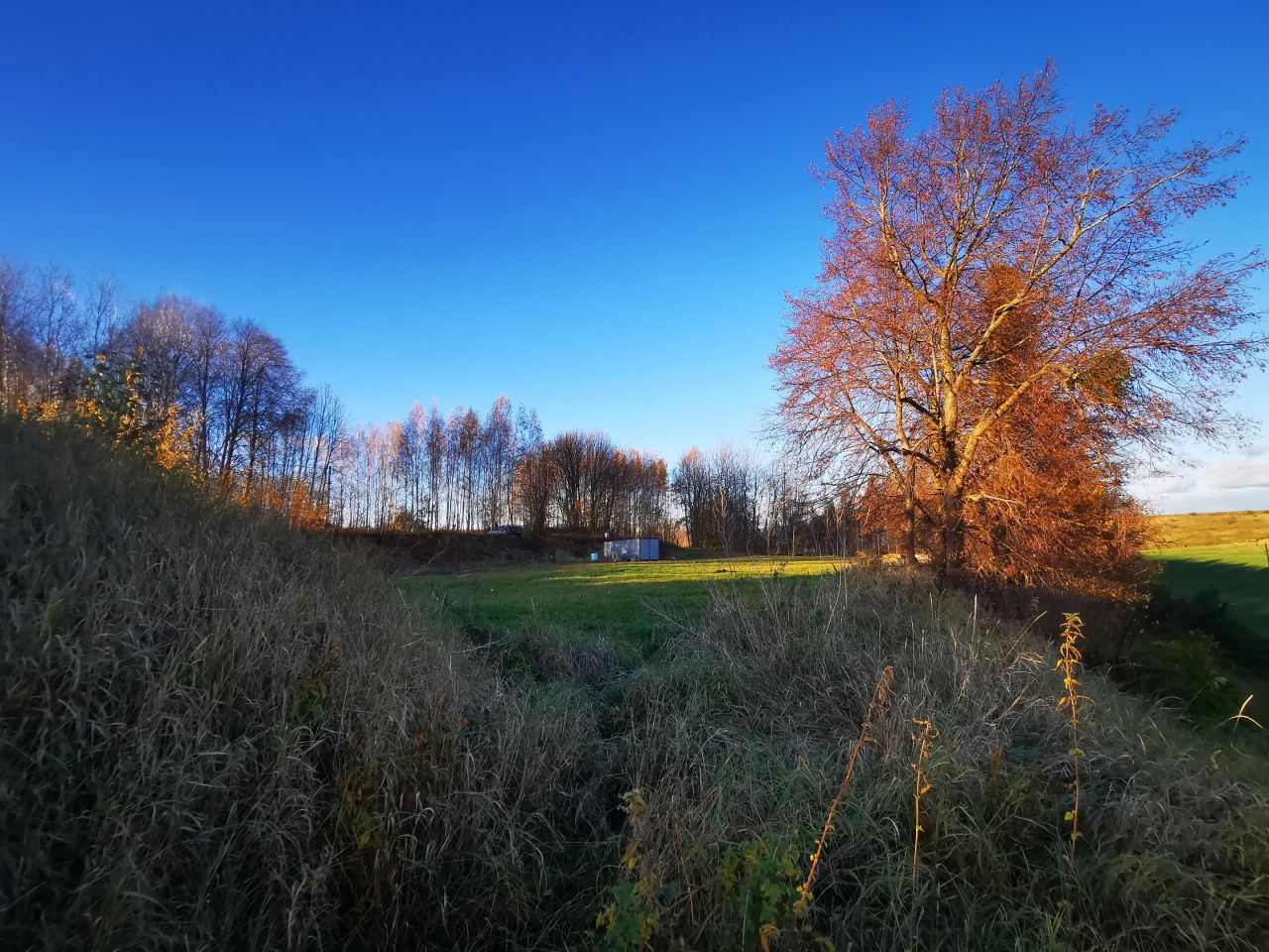 Działka budowlana Bisztynek. Zdjęcie 9