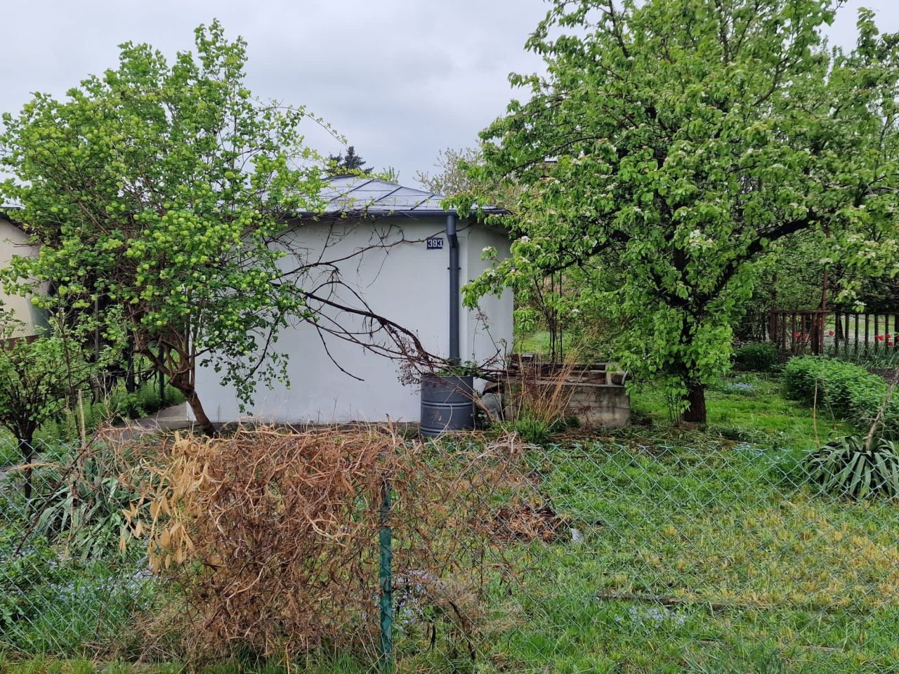 Działka rod Łask. Zdjęcie 3