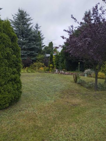 Działka rekreacyjna Suchy Las. Zdjęcie 1