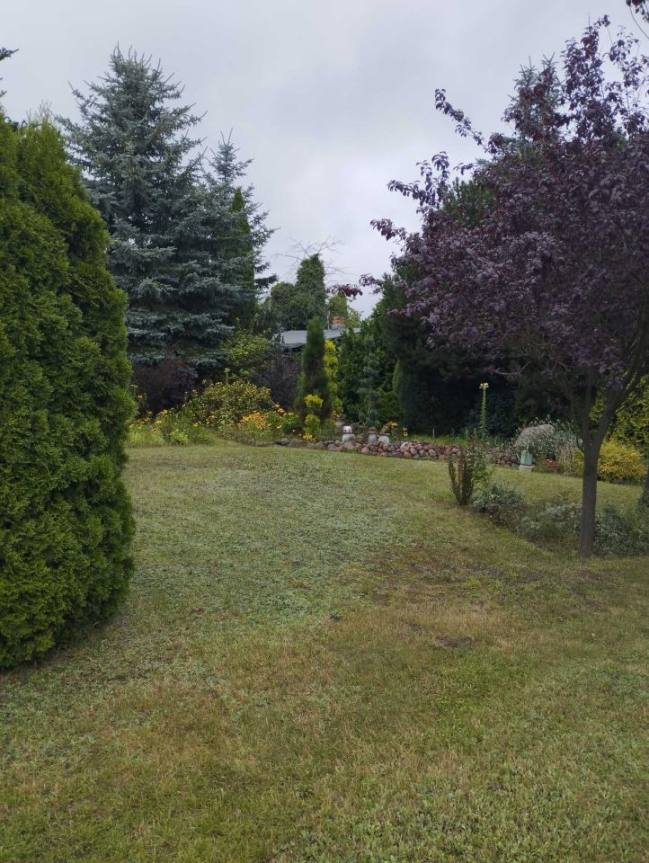 Działka rekreacyjna Suchy Las