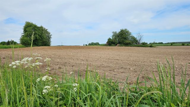 Działka rolna Dziubiele. Zdjęcie 13