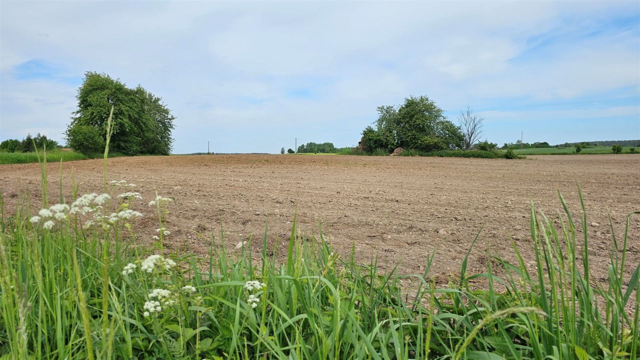 Działka rolna Dziubiele. Zdjęcie 13