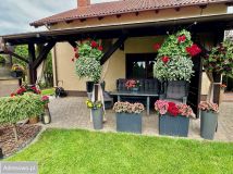 dom wolnostojący, 5 pokoi Pinczyn, ul. Gajowa